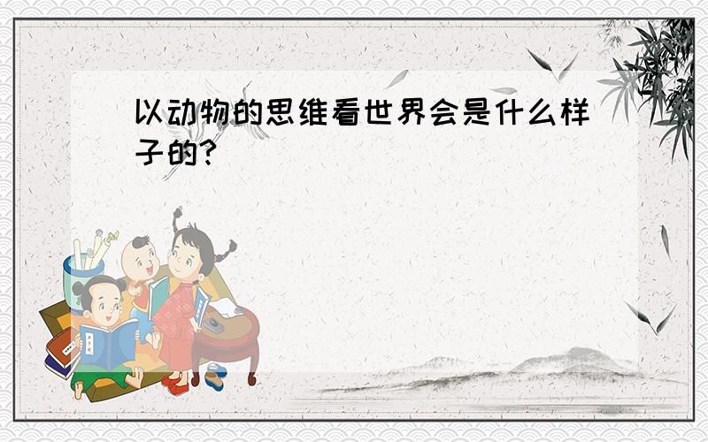 以动物的思维看世界会是什么样子的?