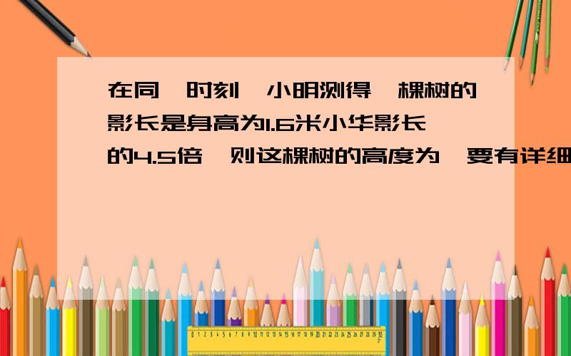 在同一时刻,小明测得一棵树的影长是身高为1.6米小华影长的4.5倍,则这棵树的高度为,要有详细的过程!