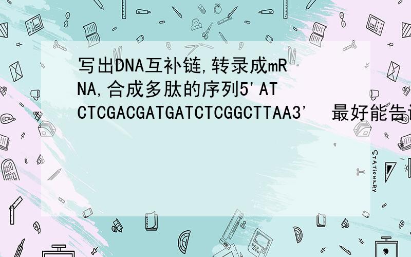 写出DNA互补链,转录成mRNA,合成多肽的序列5'ATCTCGACGATGATCTCGGCTTAA3'  最好能告诉我是怎么写出来的