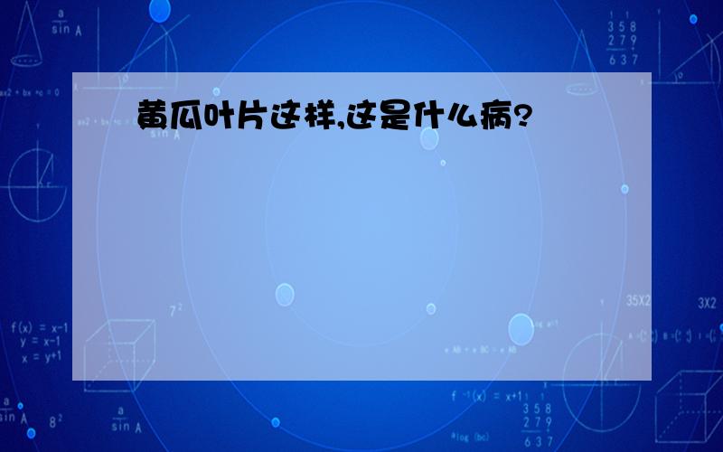 黄瓜叶片这样,这是什么病?