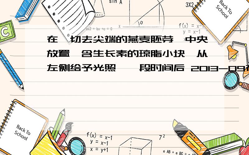 在一切去尖端的燕麦胚芽鞘中央放置一含生长素的琼脂小块,从左侧给予光照,一段时间后 2013-09在一切去尖端的燕麦胚芽鞘中央放置一含生长素的琼脂小块,从左侧给予光照,一段时间后2013-09-09