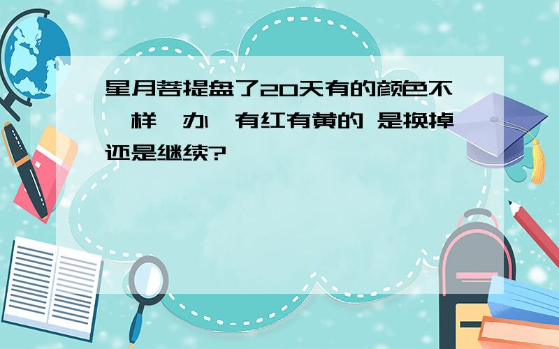 星月菩提盘了20天有的颜色不一样咋办,有红有黄的 是换掉还是继续?