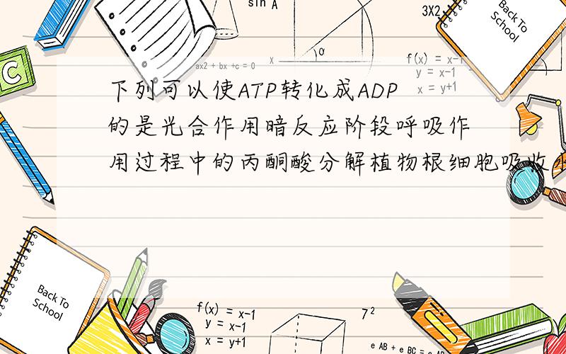 下列可以使ATP转化成ADP的是光合作用暗反应阶段呼吸作用过程中的丙酮酸分解植物根细胞吸收水分叶肉细胞吸收二氧化碳为什么!