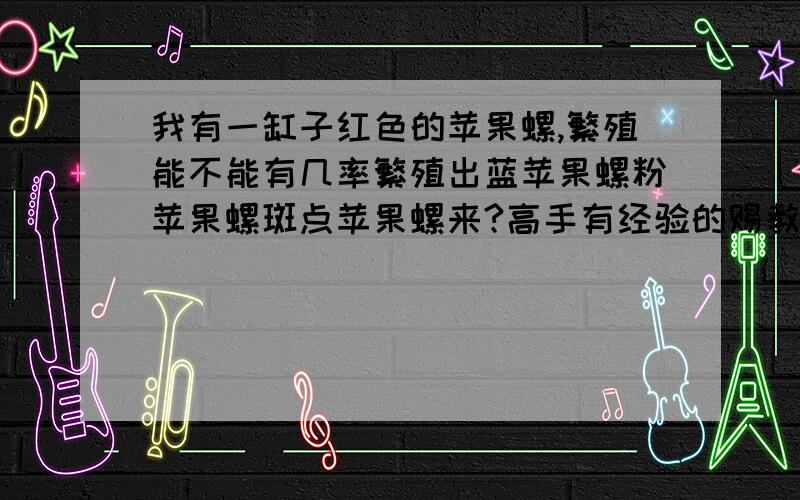 我有一缸子红色的苹果螺,繁殖能不能有几率繁殖出蓝苹果螺粉苹果螺斑点苹果螺来?高手有经验的赐教!