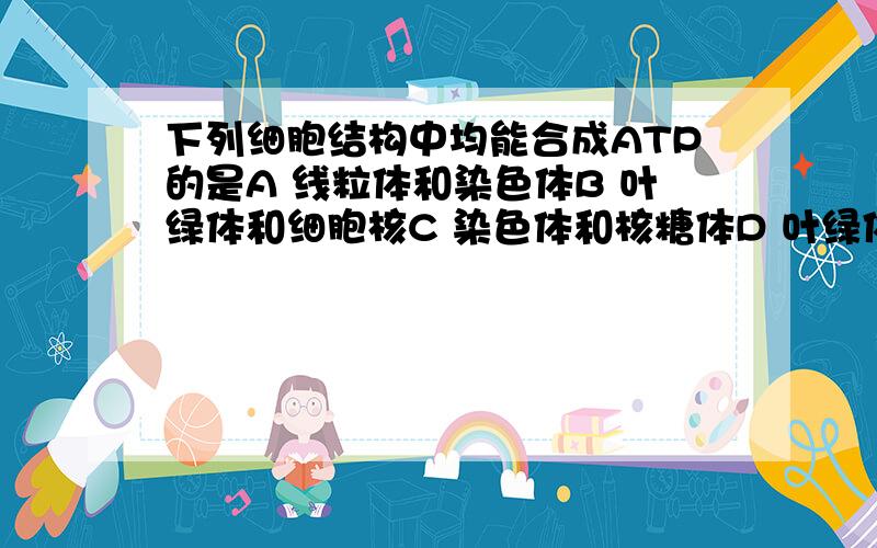 下列细胞结构中均能合成ATP的是A 线粒体和染色体B 叶绿体和细胞核C 染色体和核糖体D 叶绿体和线粒体