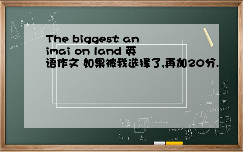 The biggest animai on land 英语作文 如果被我选择了,再加20分.