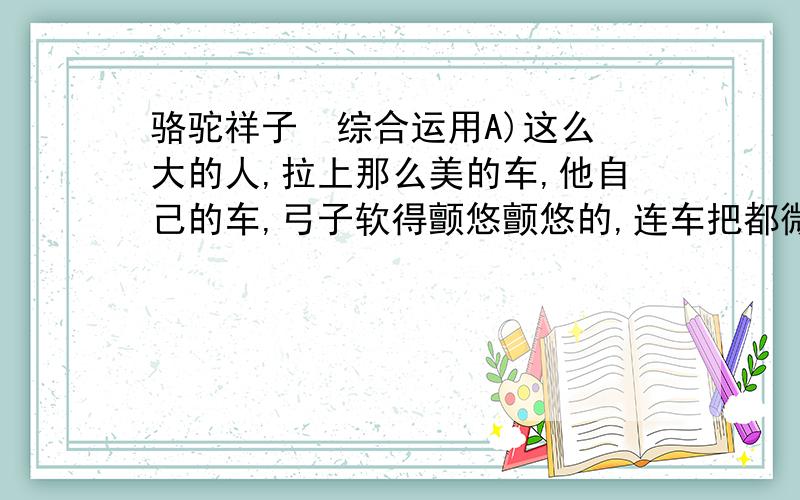 骆驼祥子  综合运用A)这么大的人,拉上那么美的车,他自己的车,弓子软得颤悠颤悠的,连车把都微微的动弹；车箱是那么亮,垫子是那么白,喇叭是那么响；跑得不快怎能对得起自己呢,怎能对得