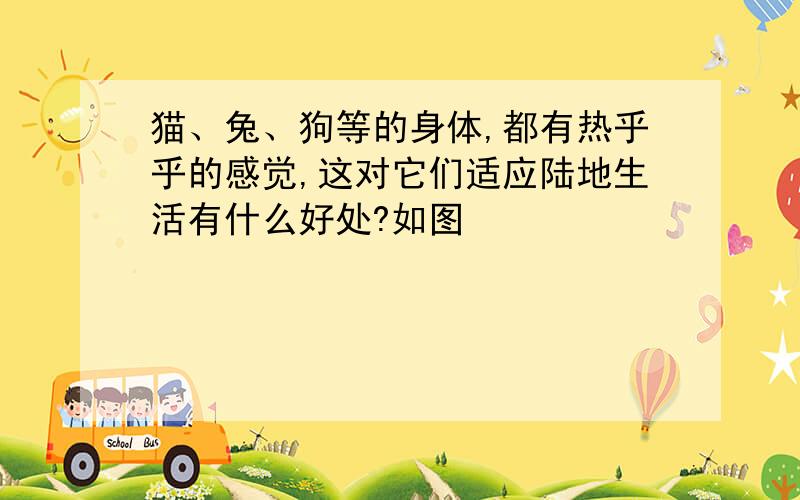 猫、兔、狗等的身体,都有热乎乎的感觉,这对它们适应陆地生活有什么好处?如图