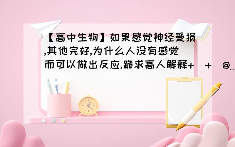 【高中生物】如果感觉神经受损,其他完好,为什么人没有感觉而可以做出反应,跪求高人解释+_+(@﹏@)~不是从刚开始就被切断了吗,连传入神经都不接收到了吗,后面的一系列传递不是都不能进行