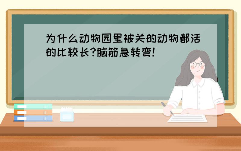 为什么动物园里被关的动物都活的比较长?脑筋急转弯!