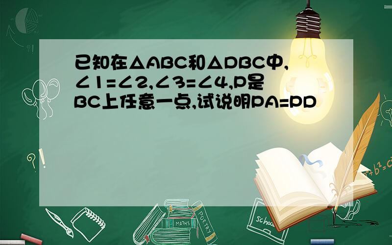 已知在△ABC和△DBC中,∠1=∠2,∠3=∠4,P是BC上任意一点,试说明PA=PD