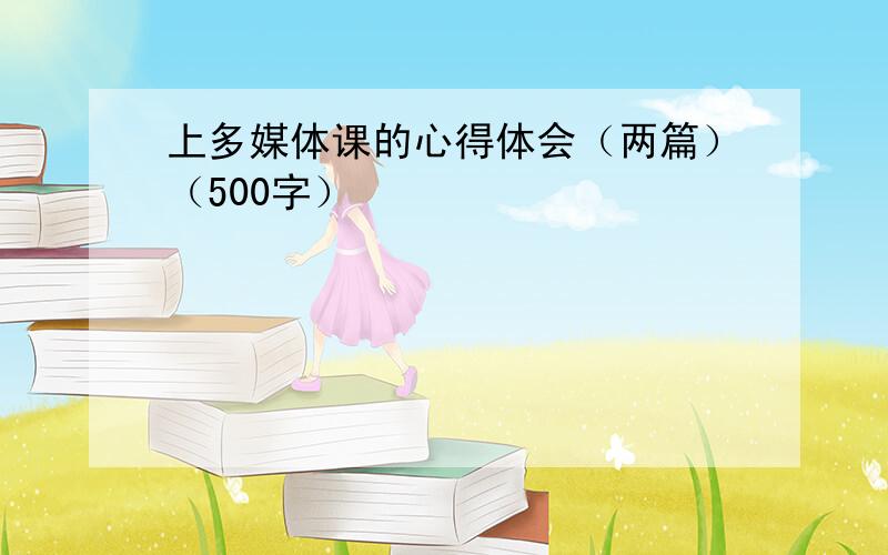 上多媒体课的心得体会（两篇）（500字）