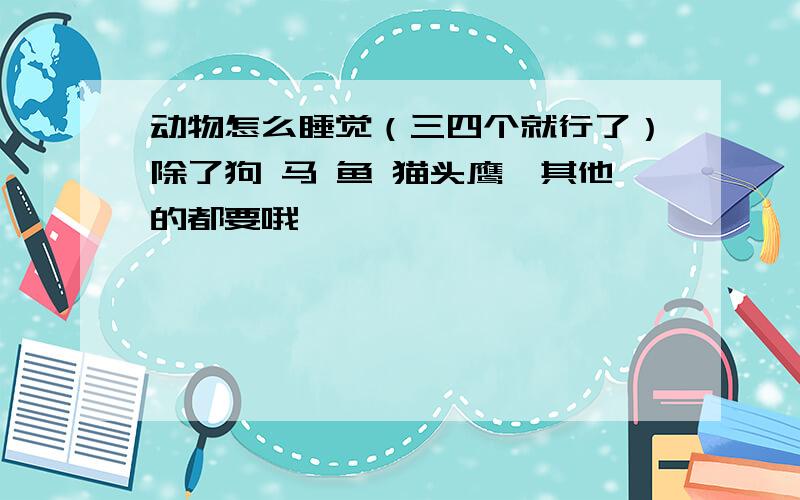 动物怎么睡觉（三四个就行了）除了狗 马 鱼 猫头鹰,其他的都要哦