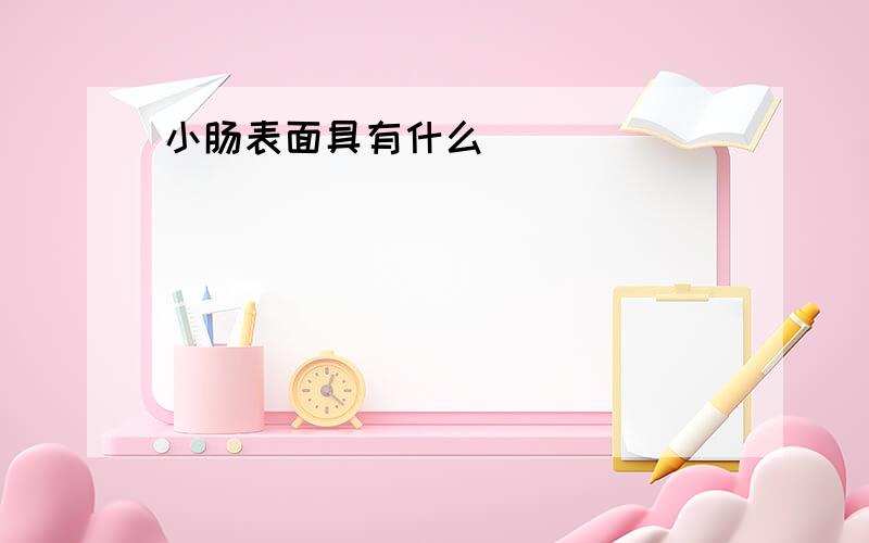 小肠表面具有什么