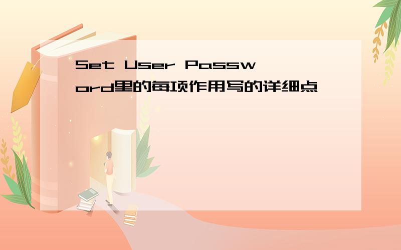 Set User Password里的每项作用写的详细点