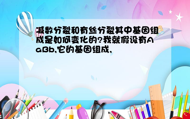 减数分裂和有丝分裂其中基因组成是如何变化的?我就假设有AaBb,它的基因组成,