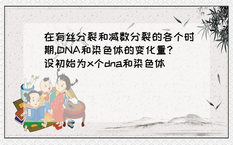 在有丝分裂和减数分裂的各个时期,DNA和染色体的变化量?设初始为x个dna和染色体