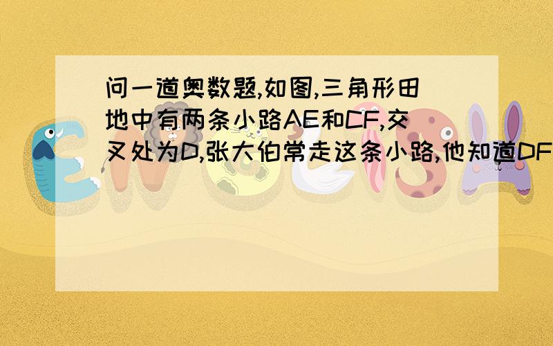 问一道奥数题,如图,三角形田地中有两条小路AE和CF,交叉处为D,张大伯常走这条小路,他知道DF=DC,且AD=2如图,三角形田地中有两条小路AE和CF,交叉处为D,张大伯常走这条小路,他知道DF=DC,且AD=2DE,则