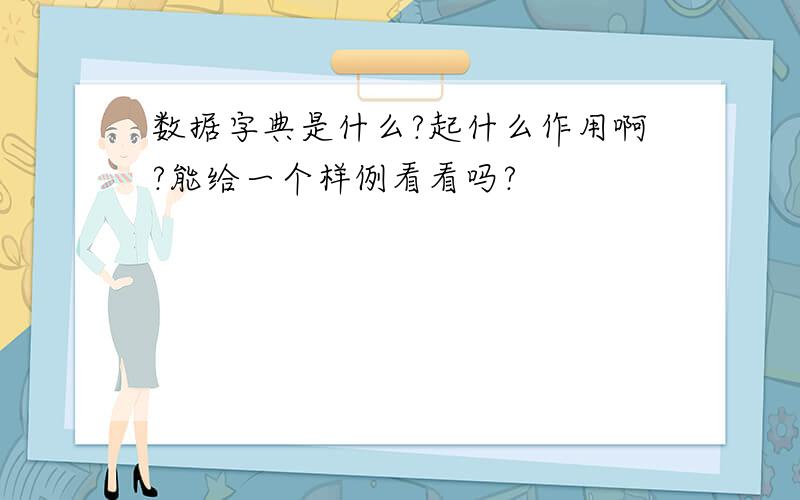 数据字典是什么?起什么作用啊?能给一个样例看看吗?