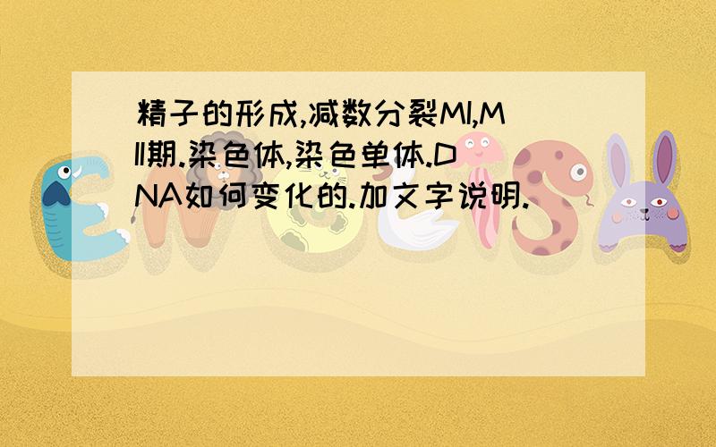 精子的形成,减数分裂MI,MII期.染色体,染色单体.DNA如何变化的.加文字说明.