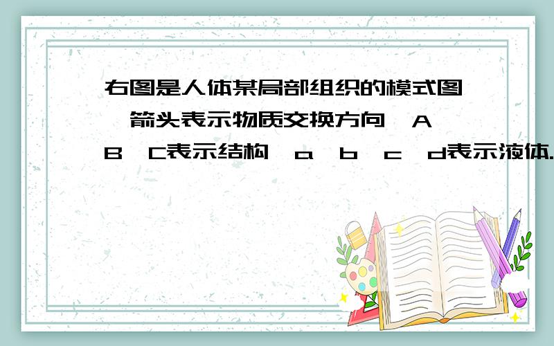 右图是人体某局部组织的模式图,箭头表示物质交换方向,A、B、C表示结构,a、b、c、d表示液体.请据图分析（1）图中A、B、C分别表示的结构是：A           ；B             ；C          .A是毛细血管,B