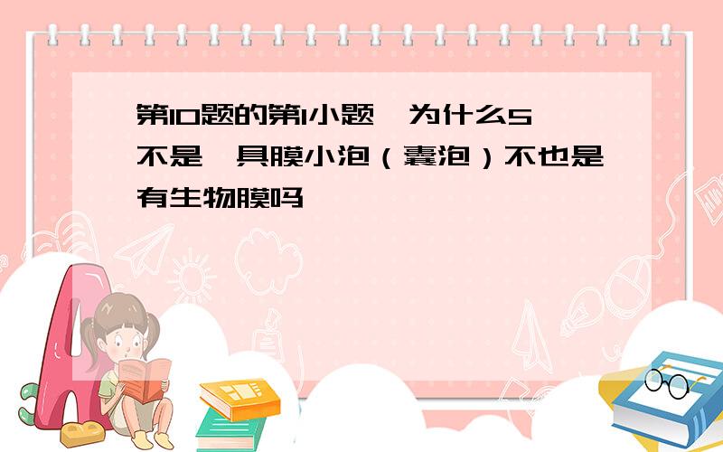 第10题的第1小题,为什么5不是,具膜小泡（囊泡）不也是有生物膜吗