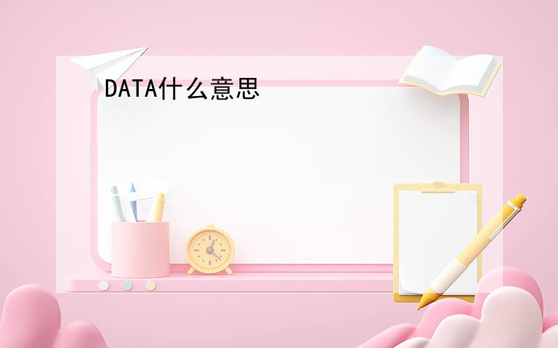 DATA什么意思