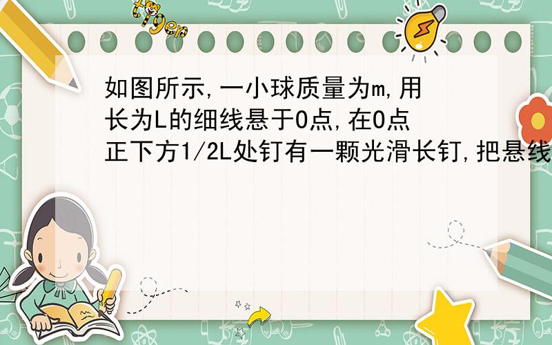 如图所示,一小球质量为m,用长为L的细线悬于O点,在O点正下方1/2L处钉有一颗光滑长钉,把悬线沿水平拉之后无初速度释放,当悬线碰到钉子的瞬时,下列说法正确的是A小球的线速度突然增大B悬线