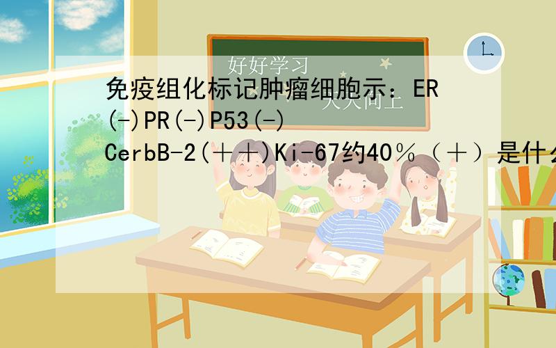 免疫组化标记肿瘤细胞示：ER(-)PR(-)P53(-)CerbB-2(＋＋)Ki-67约40％（＋）是什么意思严重不严重