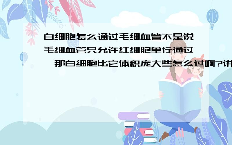 白细胞怎么通过毛细血管不是说毛细血管只允许红细胞单行通过,那白细胞比它体积庞大些怎么过啊?讲简单些就好了