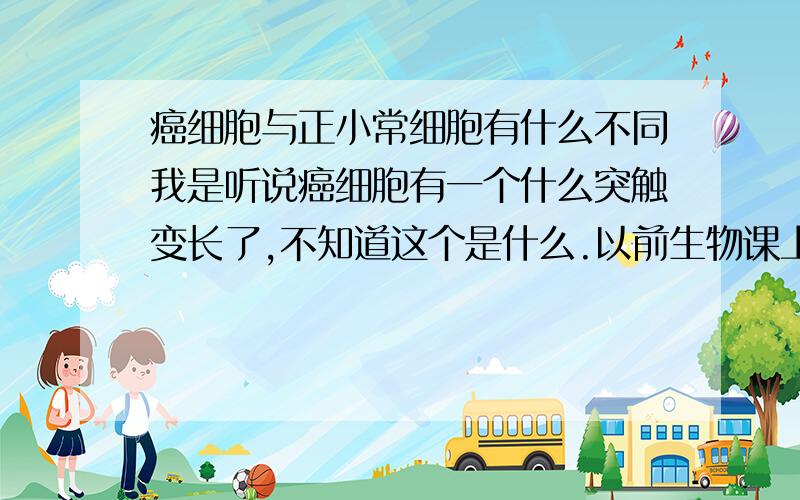 癌细胞与正小常细胞有什么不同我是听说癌细胞有一个什么突触变长了,不知道这个是什么.以前生物课上有学,但是忘了