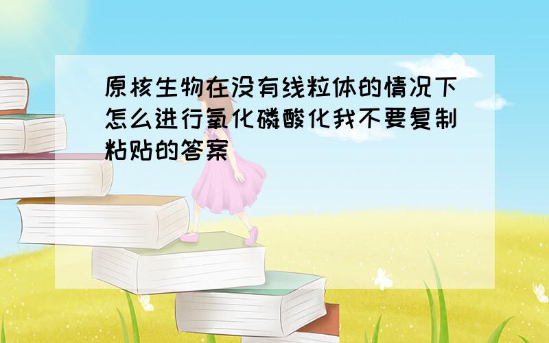 原核生物在没有线粒体的情况下怎么进行氧化磷酸化我不要复制粘贴的答案