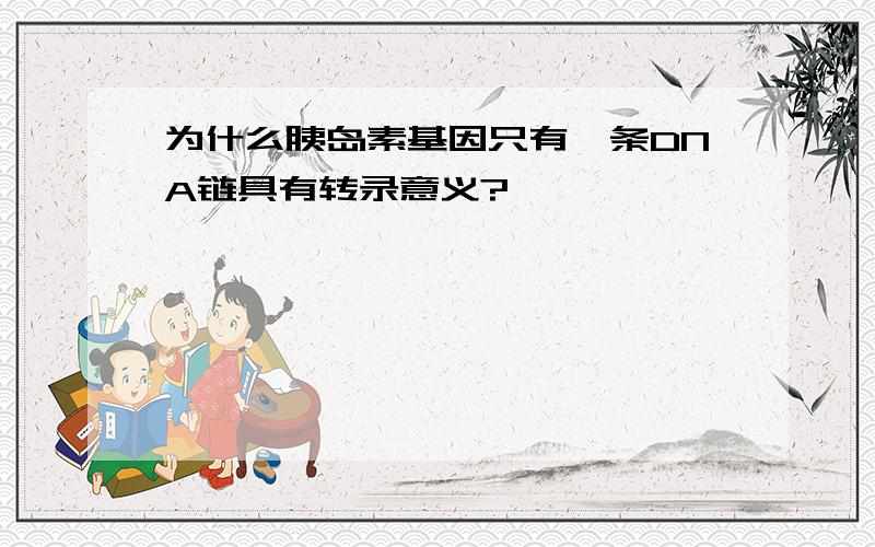 为什么胰岛素基因只有一条DNA链具有转录意义?