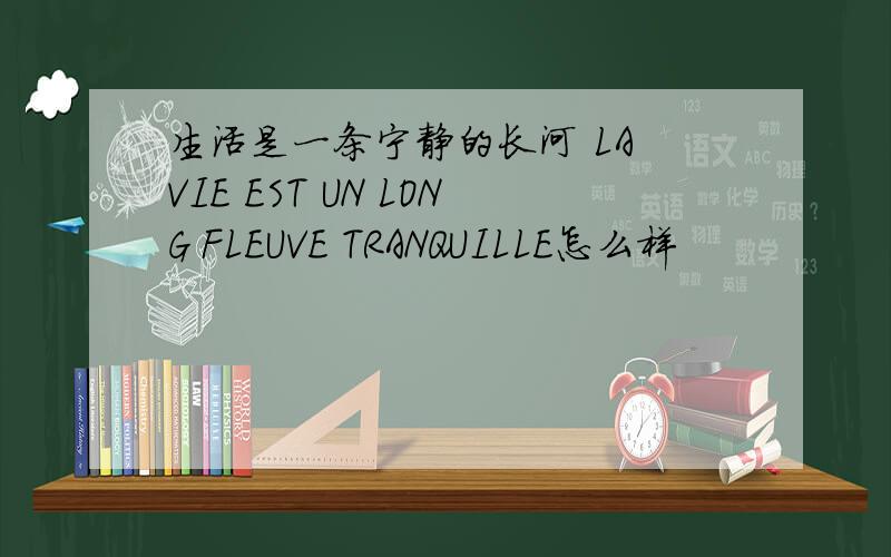 生活是一条宁静的长河 LA VIE EST UN LONG FLEUVE TRANQUILLE怎么样