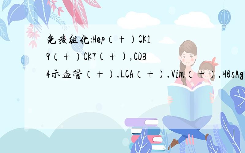 免疫组化：Hep（+）CK19（+）CK7(+),CD34示血管（+）,LCA（+）,Vim（+）,HBsAg（+）这都是什么意思?