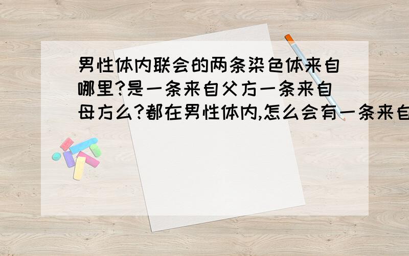 男性体内联会的两条染色体来自哪里?是一条来自父方一条来自母方么?都在男性体内,怎么会有一条来自母方呢?