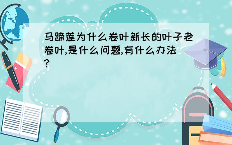 马蹄莲为什么卷叶新长的叶子老卷叶,是什么问题,有什么办法?