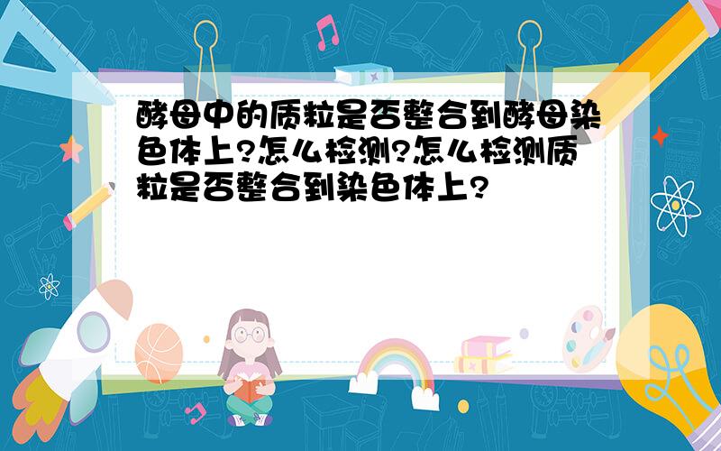 酵母中的质粒是否整合到酵母染色体上?怎么检测?怎么检测质粒是否整合到染色体上?