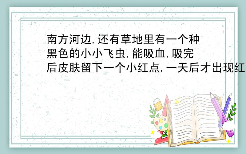 南方河边,还有草地里有一个种黑色的小小飞虫,能吸血,吸完后皮肤留下一个小红点,一天后才出现红肿,奇痒无比,本人去河边钓鱼,露在外边的皮肤都咬了,学名是什么,最好有图片,