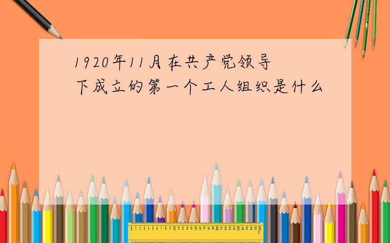 1920年11月在共产党领导下成立的第一个工人组织是什么