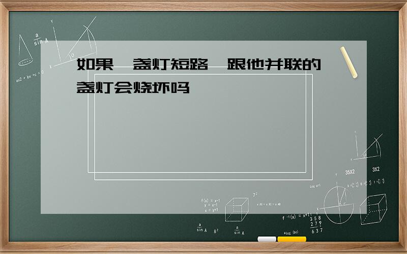 如果一盏灯短路,跟他并联的一盏灯会烧坏吗