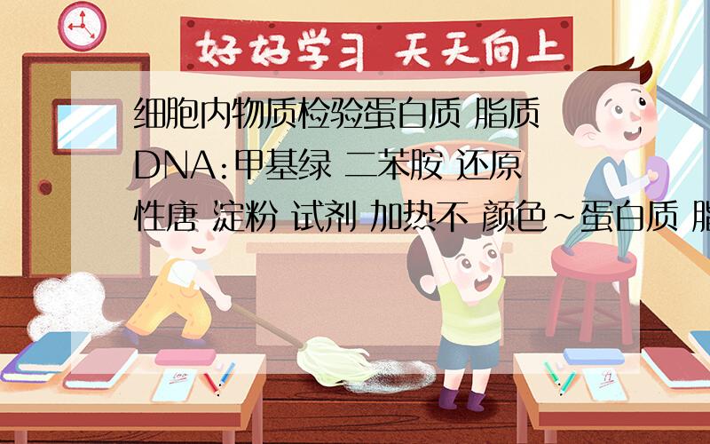 细胞内物质检验蛋白质 脂质 DNA:甲基绿 二苯胺 还原性唐 淀粉 试剂 加热不 颜色~蛋白质 脂质 DNA:甲基绿 二苯胺 还原性唐 淀粉 检验这几种物质的试剂加热不什么颜色~