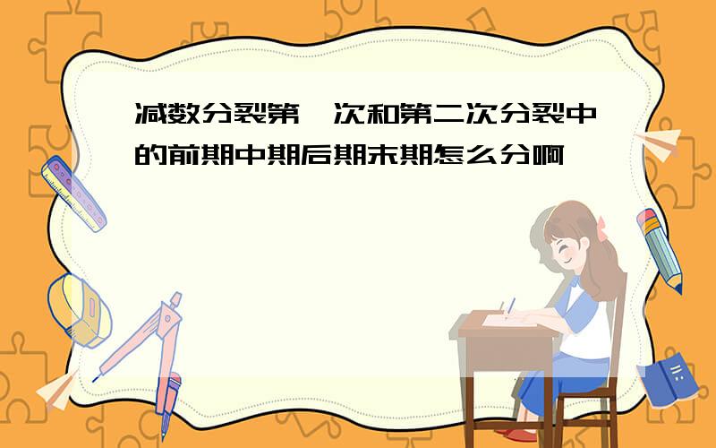 减数分裂第一次和第二次分裂中的前期中期后期末期怎么分啊