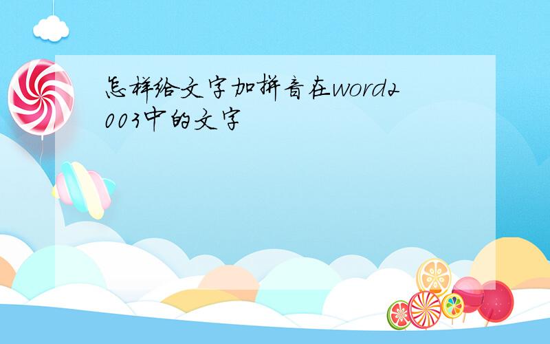 怎样给文字加拼音在word2003中的文字