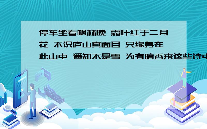 停车坐看枫林晚 霜叶红于二月花 不识庐山真面目 只缘身在此山中 遥知不是雪 为有暗香来这些诗中意思相同的词是（ ）（ ）（ ）,都可以解释为（ ）.