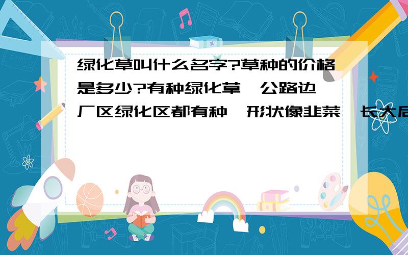 绿化草叫什么名字?草种的价格是多少?有种绿化草,公路边,厂区绿化区都有种,形状像韭菜,长大后会结像豌豆粒大小、青紫色的小果籽.