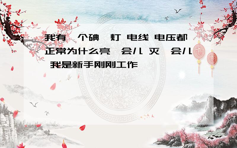 我有一个碘钨灯 电线 电压都正常为什么亮一会儿 灭一会儿 我是新手刚刚工作