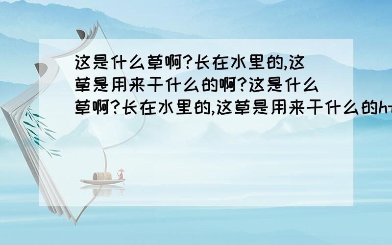 这是什么草啊?长在水里的,这草是用来干什么的啊?这是什么草啊?长在水里的,这草是用来干什么的http://hiphotos.baidu.com/0%B3%BE%B7%E7/pic/item/f0ffa20c3ba34e106159f329.jpg