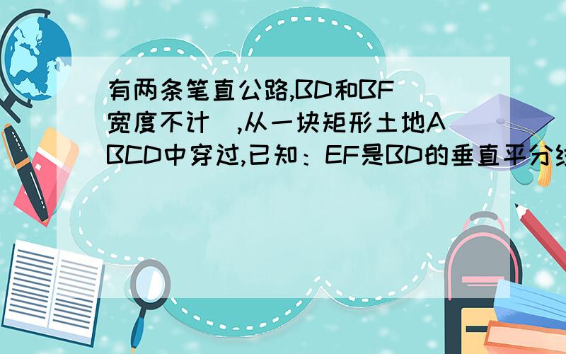 有两条笔直公路,BD和BF(宽度不计),从一块矩形土地ABCD中穿过,已知：EF是BD的垂直平分线,有BD=400,EF=300,求这块土地ABCD的面积