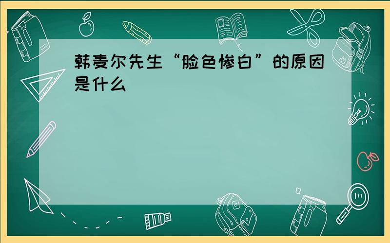 韩麦尔先生“脸色惨白”的原因是什么